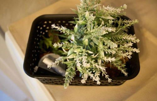 Blue Dreams Astros - Foto 16