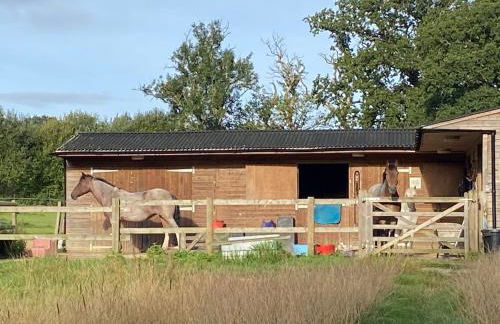 Carpenters-stay - Foto 21