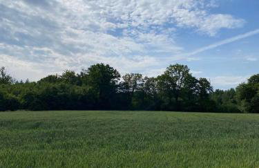 Agroturystyka Borów - Foto 27