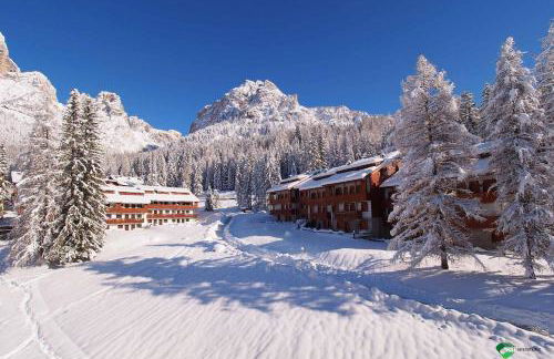 Petit Arnica - Foto 1