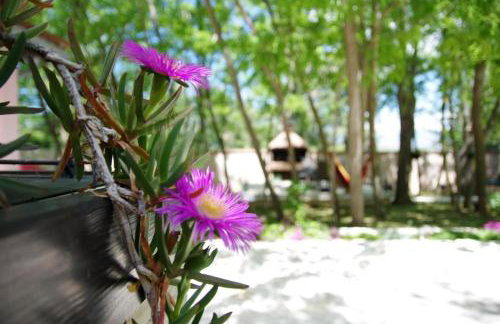 Family friendly house with a swimming pool Dracevac Ninski, Zadar - 25229 - Foto 11