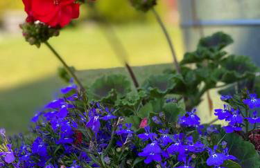 ZEFIR Dąbki - Foto 22