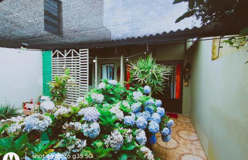 Pequena casa na Praia do Cassino - Foto 4