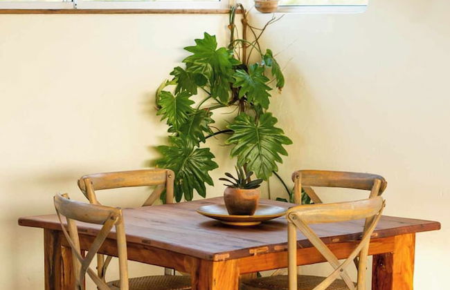 Pura Vida Tofo Beach House - Photo 21