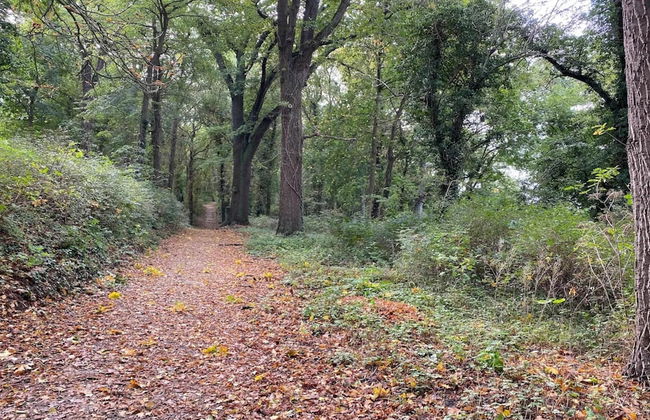 Ferienwohnungen, Malchow - Foto 28