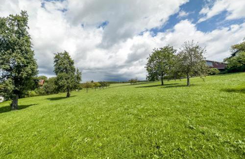 Drei-Mädelhaus Ambs Wohnung 2 - Foto 15