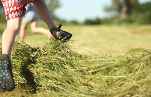 Ferienwohnung Vogelsang - Foto 25