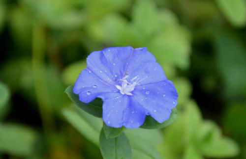 Residencial Portinari LTDA - Foto 61