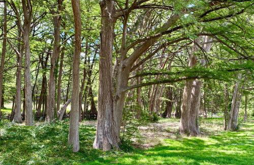 Swimming Hole - Foto 13