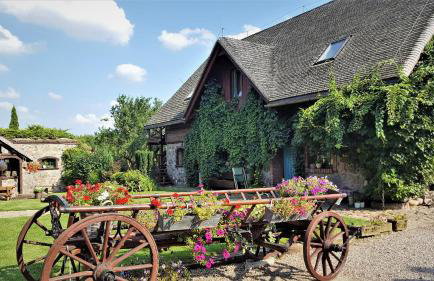 Domy Konesera - Foto 72