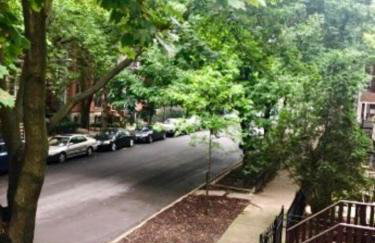 2 Rooftops 2 Car Garage 4 Stories - Foto 53