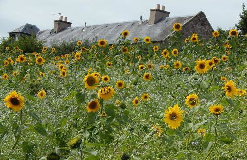 Cocklekitty Cottage - Foto 12