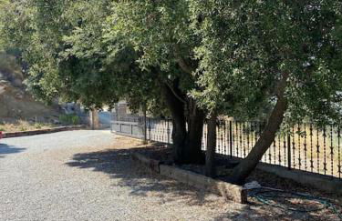 Ca la Sita - Foto 39