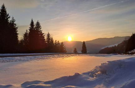 Daheim im Geissetal - Foto 10