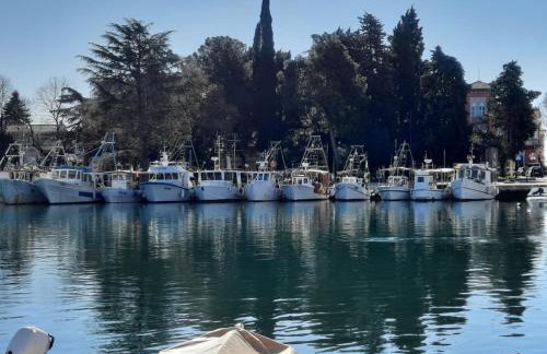 Old Harbour - Photo 9