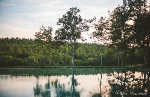 Casale San Galgano - Foto 14