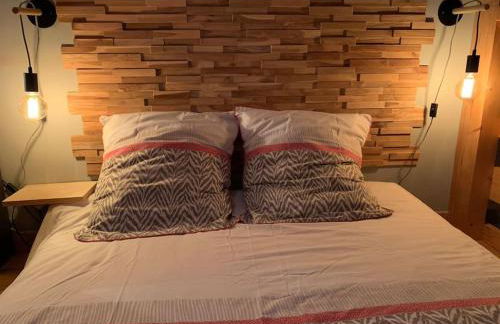 Chaleureux studio plein sud en Tarentaise ! - Foto 13