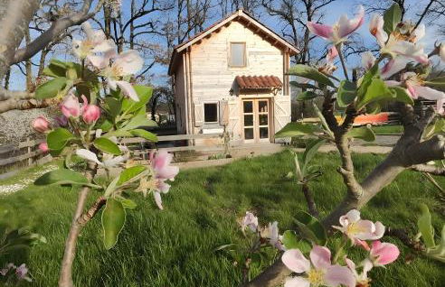 Au chant des oiseaux - rouge gorge - Foto 1