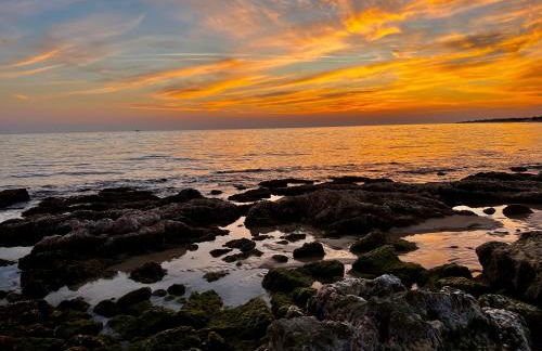 Trulli delle succulente - Foto 19