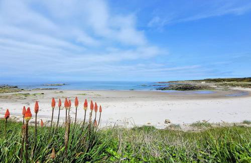 Bespoke Luxury Self Catering Dog Friendly Accommodation - Foto 33