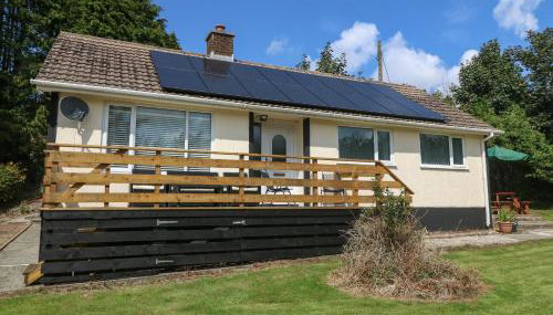 Petlyns Patch - Foto 3