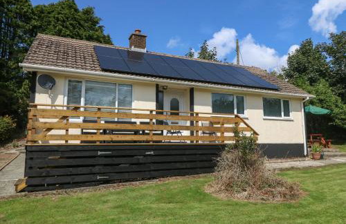 Petlyns Patch - Foto 3