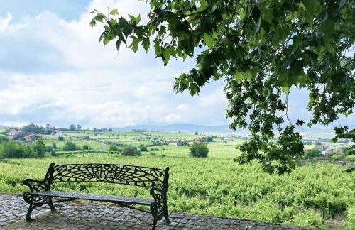 Casa do Cruzeiro - Favaios - Photo 25