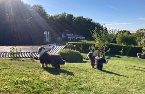 Ferienwohnung Piesch - Foto 13