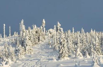 Ferienwohnung Bayerwaldblick - Foto 62