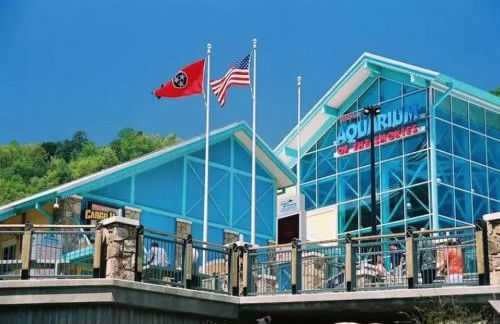 Golf View Resort by Jackson Mountain Rentals - Foto 68