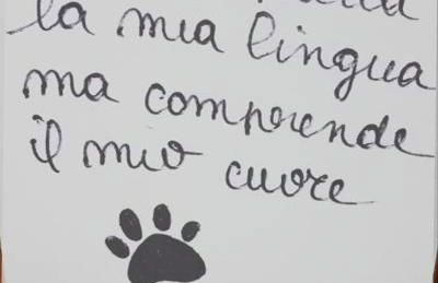 Casa Clelia - Foto 47