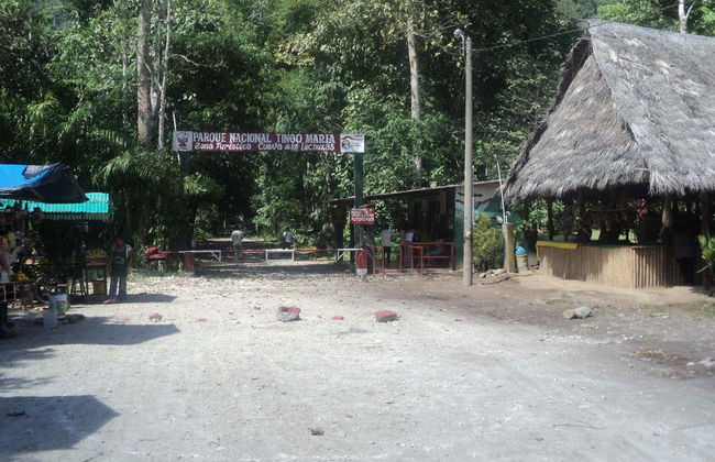 Escursione al Parco Nazionale Tingo María - Foto 1