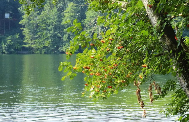 Apartments Spreeidyll, Schlepzig - Foto 6