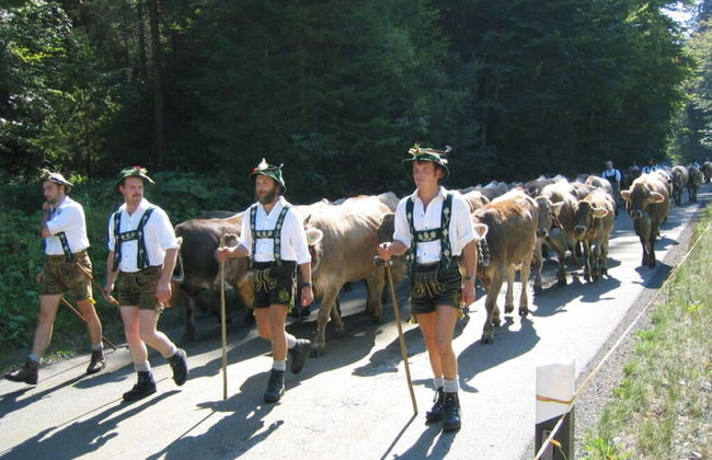 Alpenrosle Comfortable Holiday Residence - Photo 3