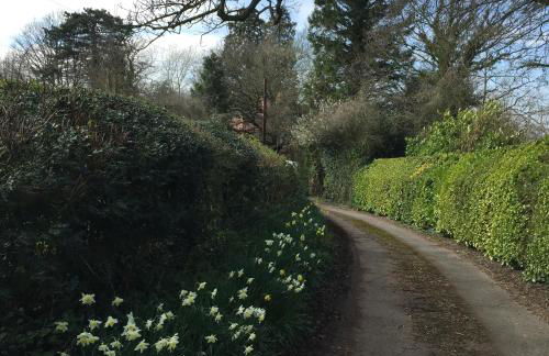 Thatch Close Cottages - Foto 11