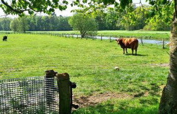 Ferienhaus Thomas - Foto 35