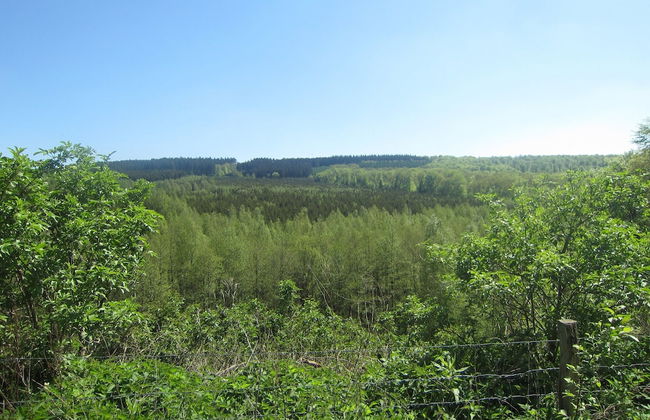 Perfect Spot on Edge of Large Woods with Hot Tub - Foto 23