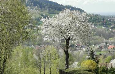 JAWORNICA HOUSE domek z pięknym widokiem - Foto 44