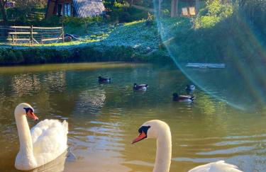 Vale da Silva Villas - Quinta - Foto 4