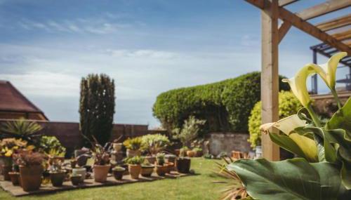 Hikers Retreat - peaceful South Downs escape - Foto 4