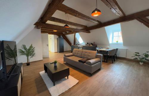 Apartmenthaus Alte Scheune Gunzenhausen - Foto 16