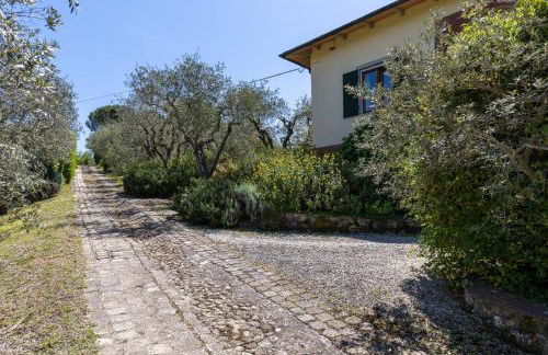 Chianti Holidays, Il Poggetto da Alfina - Foto 7