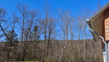Ferienhaus Haselnuss - Foto 2, Garden, Garden view