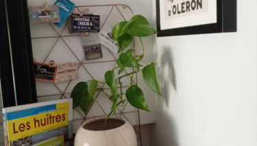 Le Stud' à Saint Pierre d'Oléron ! - Foto 2