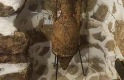 Dona Gracia Belmonte - Foto 17