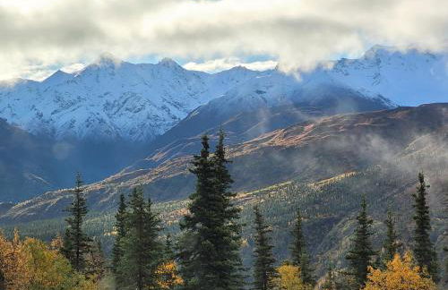 Little Bear Getaway Cabins - Foto 13