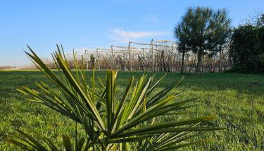 Le Nid Suspendu - Photo 5