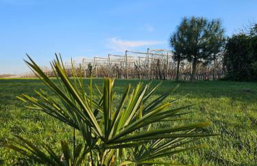 Le Nid Suspendu - Photo 5