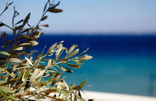 Amarandos Sea View Apartments - Photo 40