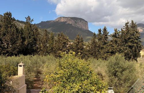 Manyolas 93 - Photo 16